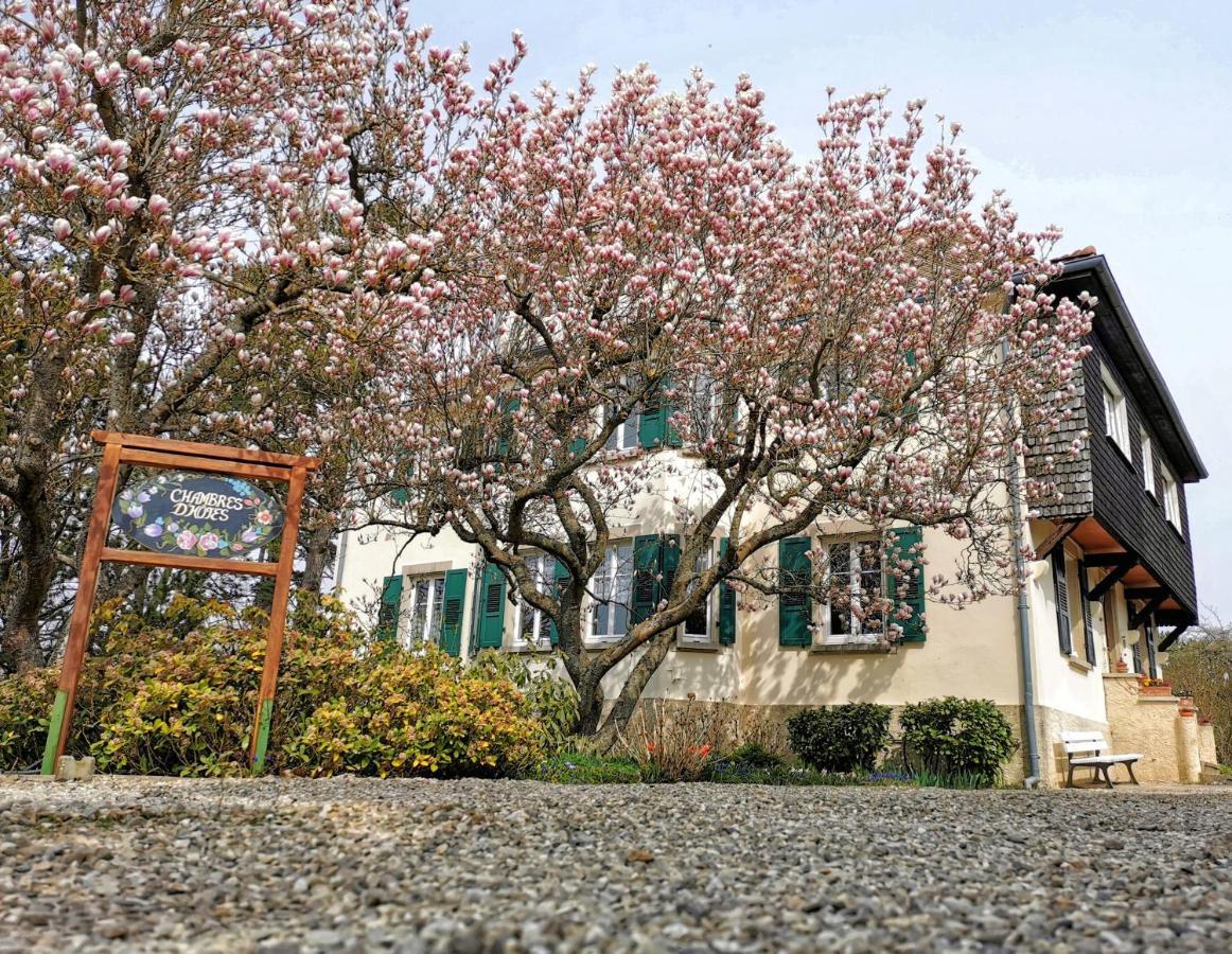 Bed and Breakfast La Tirelire Cosswiller Zewnętrze zdjęcie