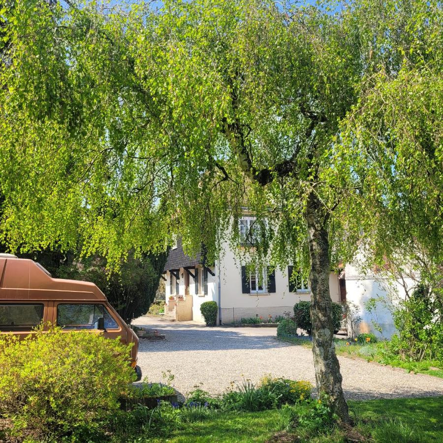 Bed and Breakfast La Tirelire Cosswiller Zewnętrze zdjęcie